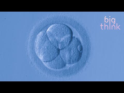 Bill Nye: Can We Stop Telling Women What to Do With Their Bodies?