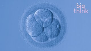 Bill Nye: Can We Stop Telling Women What to Do With Their Bodies?