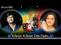 Khoye Khoye Din Hain Sonu Nigam Anuradha Padwal