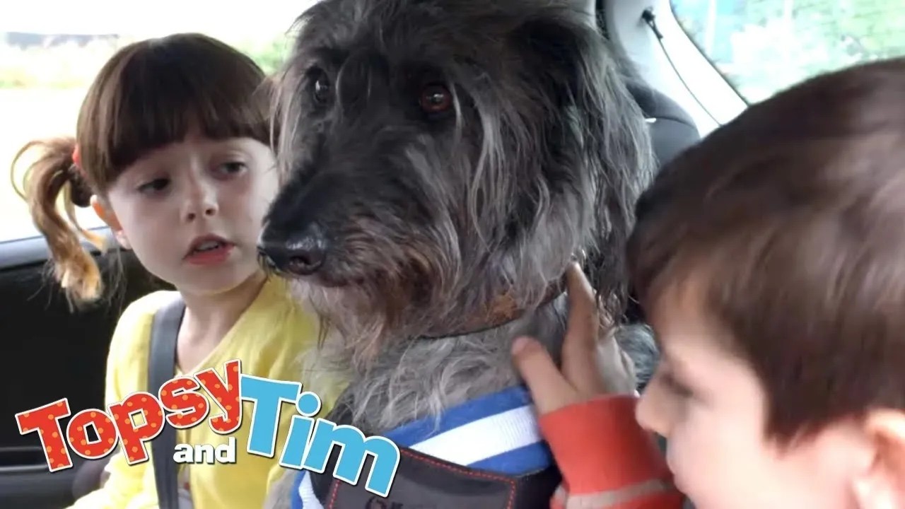 Evcil hayvan bakıcıları | Topsy ve Tim - WildBrain | Çocuk Filmleri
