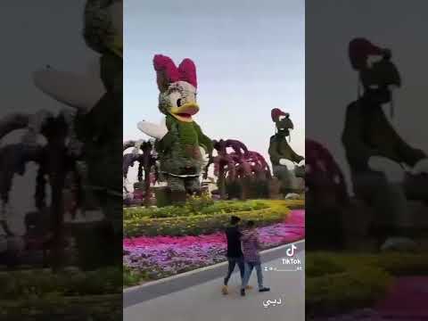 ٢١ فبراير، ٢٠٢٢