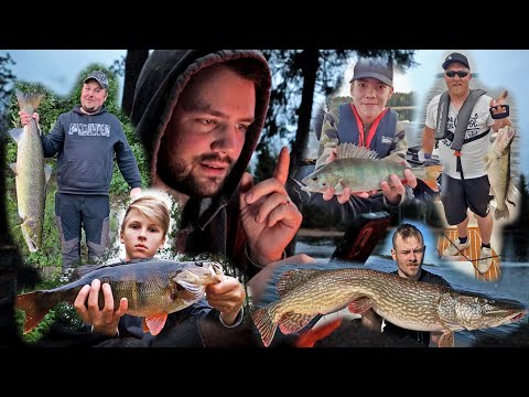 SEURAAJIEN SAALIIT - KUVIA JA TARINOITA TEIDÄN KALOISTA