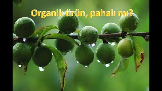 Organik ürün satan işletmeler nasıl olmalı