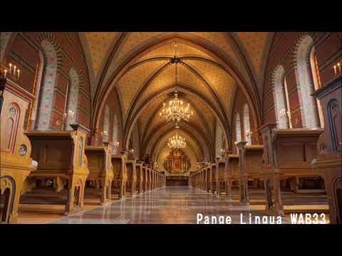 Bruckner Pange lingua WAB33