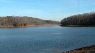 Flying Monkey Orchestra-Back In The Pool