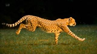 Yazee - Run for freedom (film score arrangement)