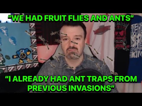 DSP's Garage Is Infested With Fruit Flies And Ants Because Of All The Trash, Blames It On The Heat