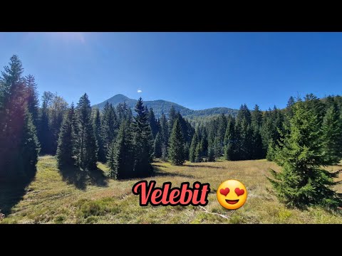 Šatorina | Velebit