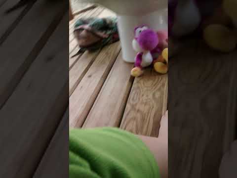 Purple Yoshi and pink Yoshi meats Chester