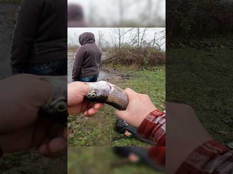 How to quickly dispatch a fish