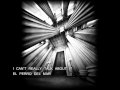 i cant really talk about it- el perro del mar.wmv