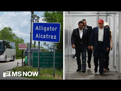 Report: 'Alligator Alcatraz' detainees put in SMALL CAGES