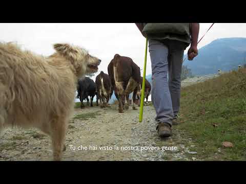 Desnalpà (Sub ITA & ENG) - Settimo Vittone, Italy