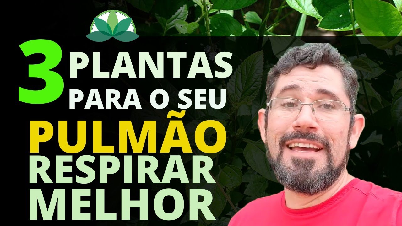 3 Plantas Para o Seu Pulmão Respirar Melhor!