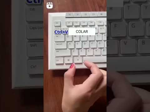 Algumas regras básicas de informática