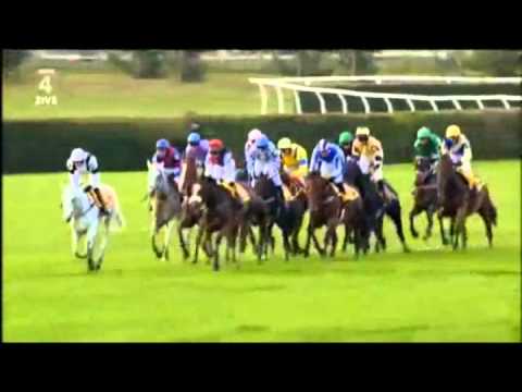 121.Velká Pardubická České Pojíšťovny