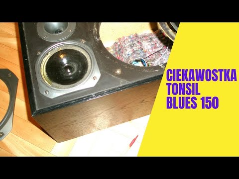 SERVICE INTERESTING FACT TONSIL BLUES 150 ZGB80-8-554 SPEAKER CROSSOVER CONSTRUCTION INCLUDED