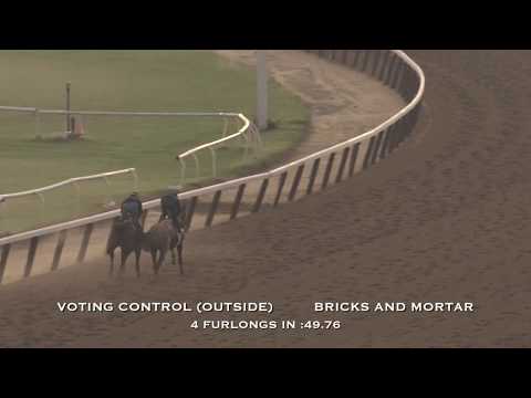 Voting Control's Final Work for the Breeders' Cup Juvenile Turf