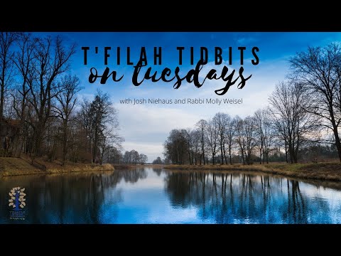 T'filah Tidbits - Psalm 93