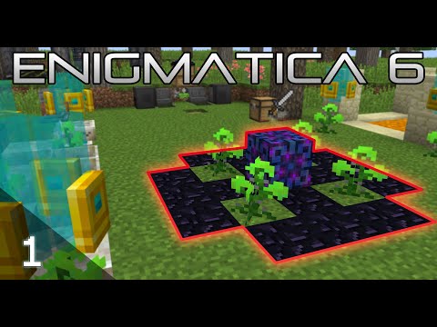 ENIGMATICA 6 | Botania & Apotheosis Enchanting | Episode 1 (Modded Minecraft Let's Play)