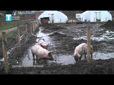 TilburgWebTV - Stadstuinderij seizoen 2 deel 01