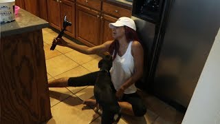 JAZMINE AND JUICE FIGHT IN THE KITCHEN! | Daily Dose S2Ep264