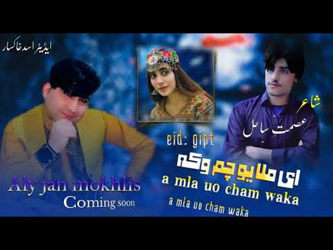 alijan mokhlis masterplan song 2023