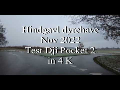 Dji Pocket 2, Dear Parq Hindsgavl, Denmark 2022 movie