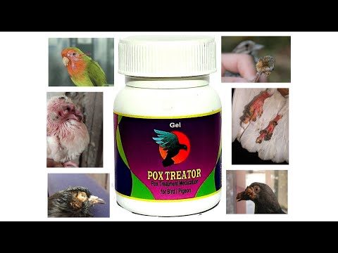 Pigeon chicken pox medicine. kabootar zehrabaad medicine. re...