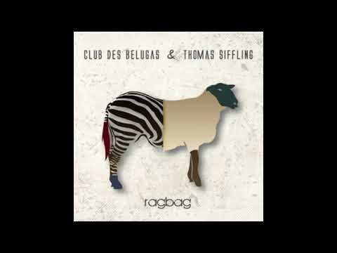 This Is What You Want by Club des Belugas & Thomas Siffling