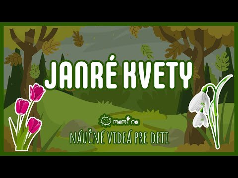 Jarné kvety  | maminask