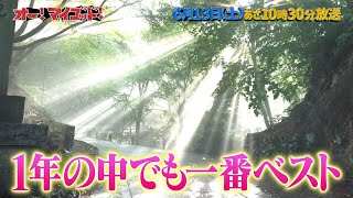 6月13日(土)放送の「オー！マイゴッド！」は「新緑の高尾山SP」！