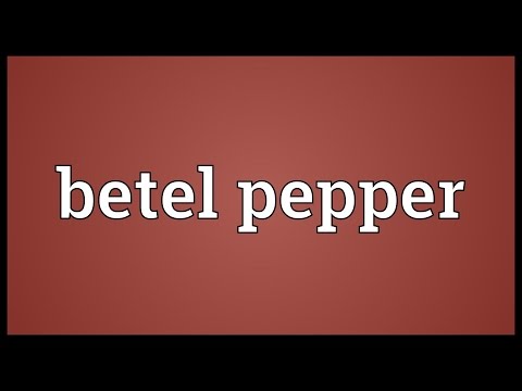 Betel pepper Meaning