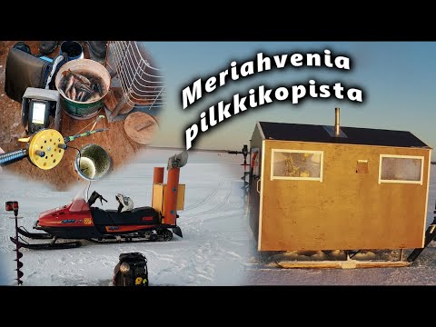 Pilkitään ahventa lämpimässä kopissa