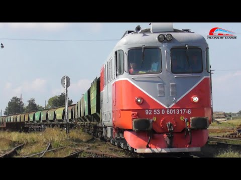 Scurta Activitate in Gara Episcopia Bihor / Trenuri de Marfa & Calatori - 12 Septembrie 2025