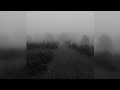Pov You Realized A Playlist