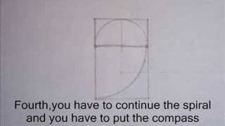 Fibonacci spiral