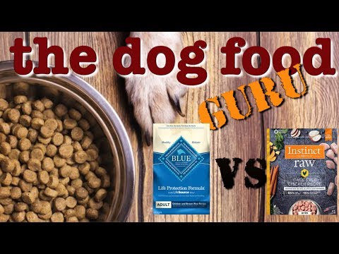 download lagu mp3 mp4 Instinct Chicken Meal Formula, download lagu Instinct Chicken Meal Formula gratis, unduh video klip Instinct Chicken Meal Formula