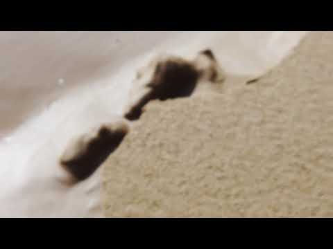 Anthony Melfi - Motion