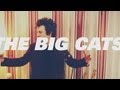 The Big Cats - "Don't Go"
