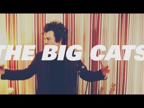 The Big Cats - 