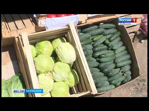 Вести «Калмыкия»: вечерний выпуск 25.04.2018