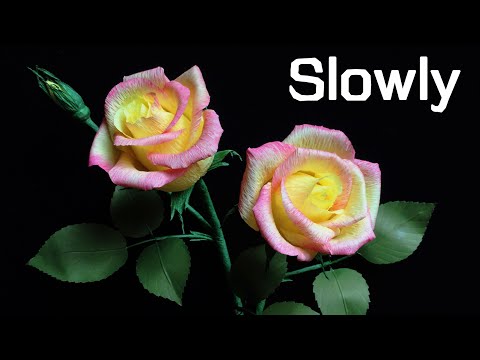 ABC TV | How To Make Rose Paper Flower From Crepe Paper (Slowly)- Craft Tutorial