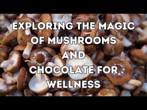 Exploring the Magic of Mushrooms and Chocolate for Wellness