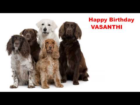 Vasanthi   Dogs Perros - Happy Birthday