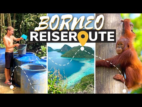 Our Borneo itinerary: Orangutans, jungle tours, and island hopping!