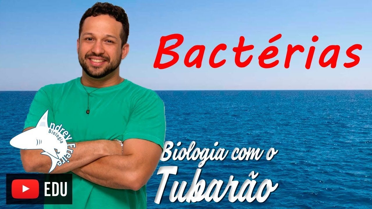 Bactérias - Microbiologia - Biologia com o Tubarão