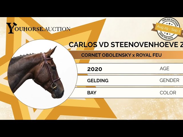 Carlos vd Steenovenhoeve Z