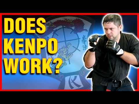 Does American Kenpo Really Work?