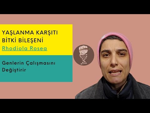 Kronik stres bedeni nasıl etkiler?